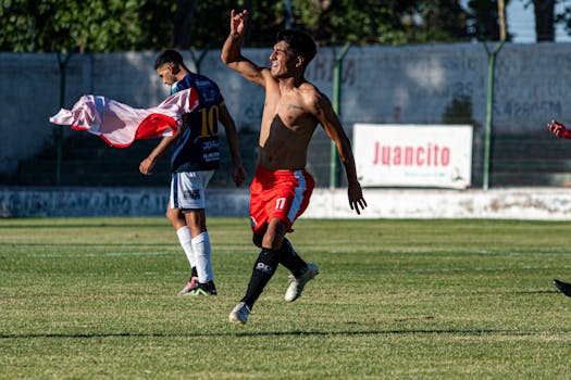 excited soccer fans cheering in the stands