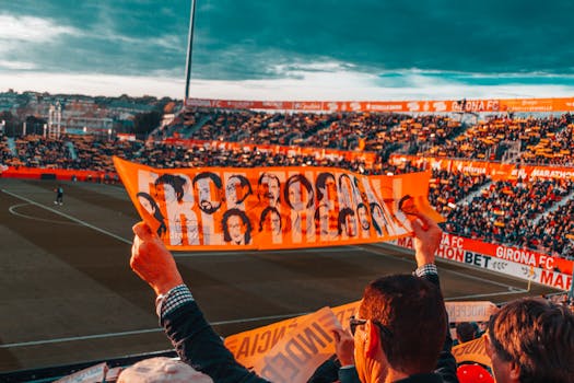 fans celebrating a soccer victory